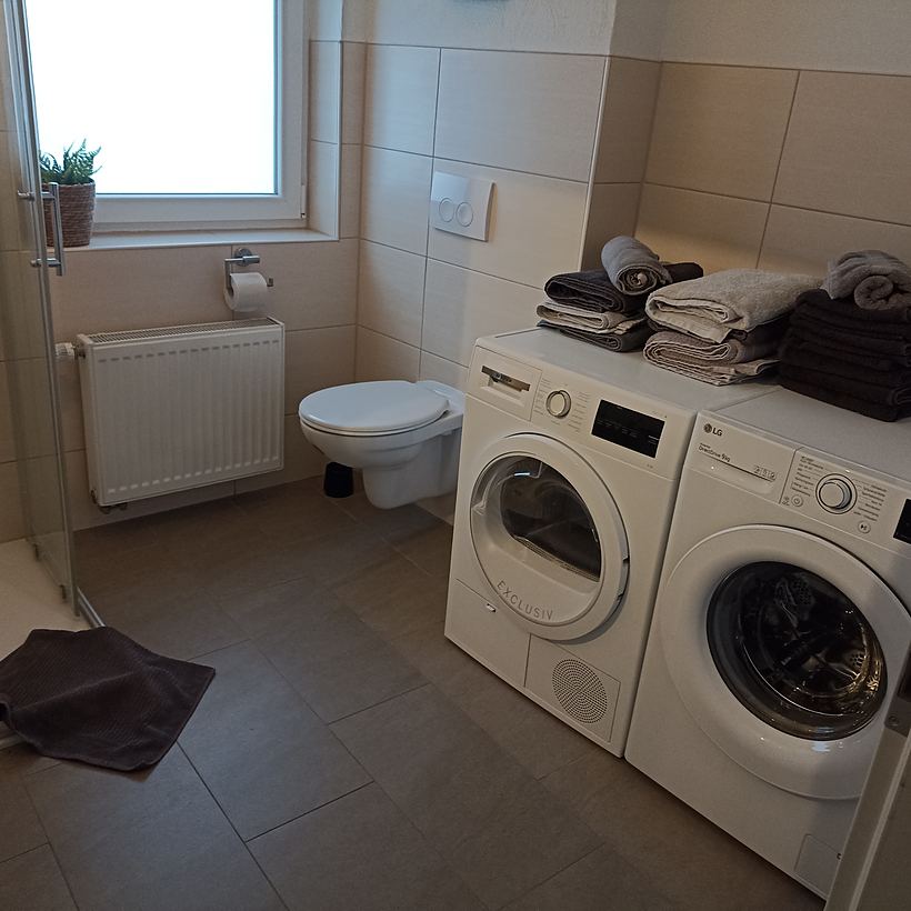 Badezimmer (3 von 4) – Apartment „Zur Tenne“, Norken